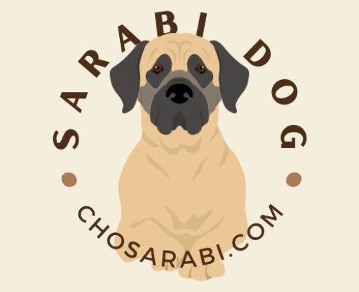 Chosarabi.com